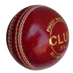 Leather ball