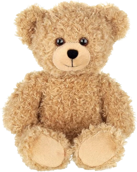 Teddy bear